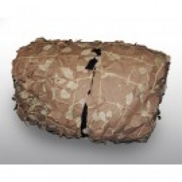 10ft x 6ft Desert Camo Netting 